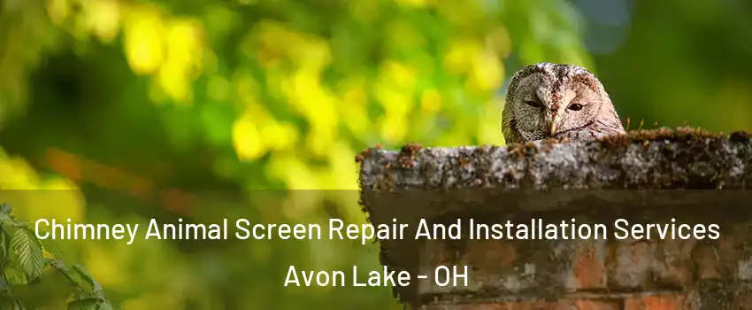  Chimney Animal Screen Repair And Installation Services Avon Lake - OH