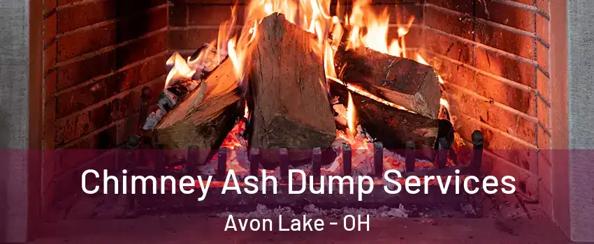  Chimney Ash Dump Services Avon Lake - OH