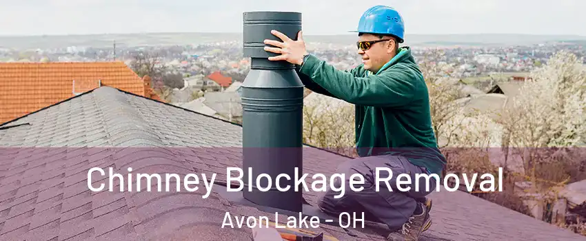  Chimney Blockage Removal Avon Lake - OH