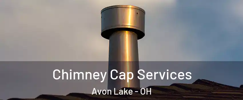 Chimney Cap Services Avon Lake - OH