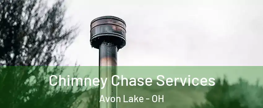  Chimney Chase Services Avon Lake - OH