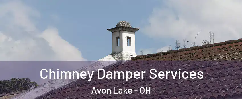  Chimney Damper Services Avon Lake - OH