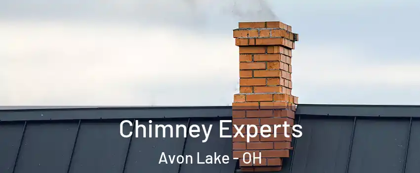  Chimney Experts Avon Lake - OH