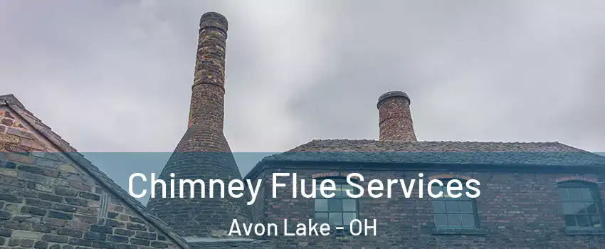  Chimney Flue Services Avon Lake - OH