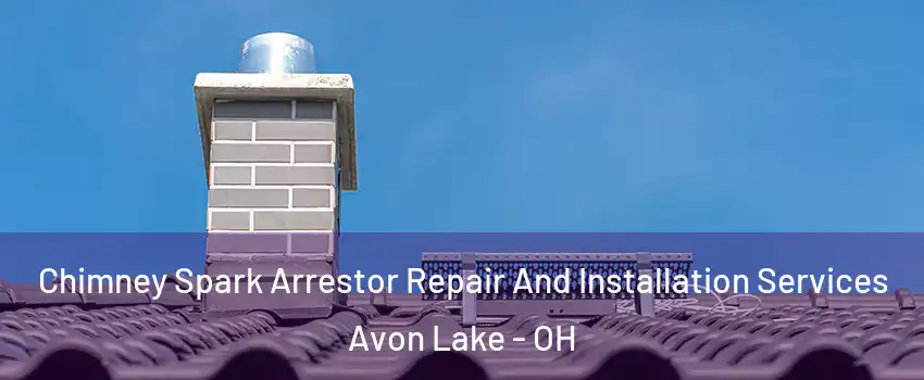  Chimney Spark Arrestor Repair And Installation Services Avon Lake - OH