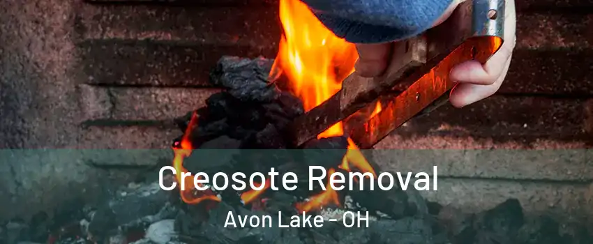  Creosote Removal Avon Lake - OH