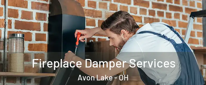  Fireplace Damper Services Avon Lake - OH