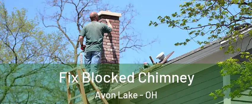  Fix Blocked Chimney Avon Lake - OH
