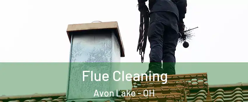  Flue Cleaning Avon Lake - OH