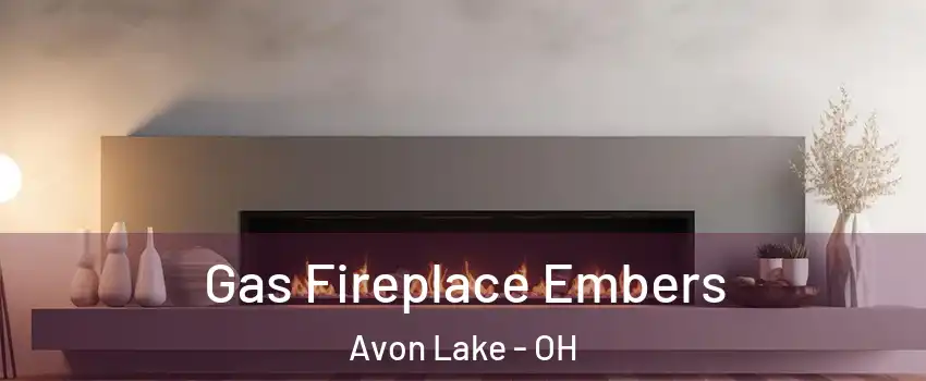  Gas Fireplace Embers Avon Lake - OH