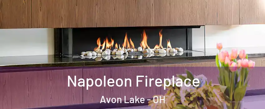  Napoleon Fireplace Avon Lake - OH