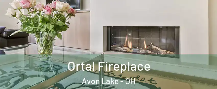  Ortal Fireplace Avon Lake - OH